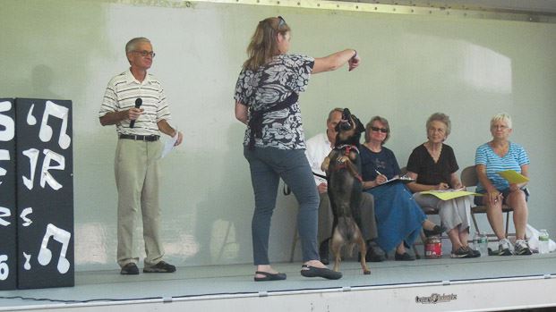 Owner Commanding Dog to Do Tricks